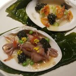 レフェルヴェソンス - 