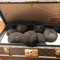 スガラボヴィー - 