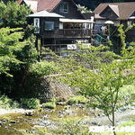 斑鳩 - 四季彩館より