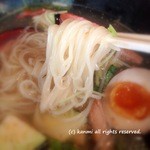 龍旗信 - 龍旗信の塩冷麺（ジュニア）900円