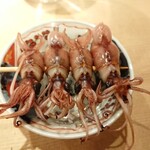 東麻布 天本 - ホタルイカ