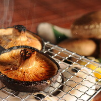 九重　やまなみ椎茸（1枚）