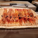 島津 - ボタン海老