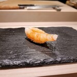 島津 - ボタン海老