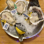 Oyster Bar ジャックポット - 