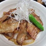 Shusai Nikushou Furuya - 豚丼のアップ