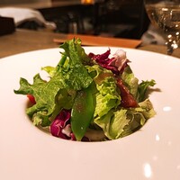Rojoc - 