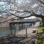 Seaburano Kami Fushimi Gouriki - 食べた後はこちらで休憩