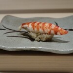 鮨 やま咲 - 車エビ（甘み＆旨み）