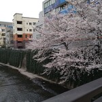 Sanuki Udon Kuranosuke - 桜の神田川