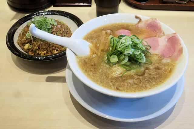 京都ラーメン 森井 愛甲石田店 愛甲石田 ラーメン 食べログ 京都ラーメン 森井 愛甲石田店 愛甲石田 ラーメン 食べログ