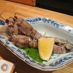 米平 - がさえび（蝦蛄）