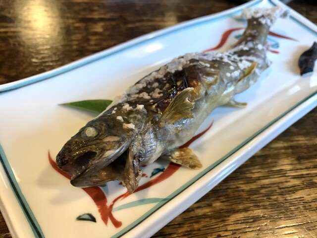 りんどう 鶴来 ろばた焼き 食べログ りんどう 鶴来 ろばた焼き 食べログ