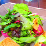 ノーザンテラスダイナー - たっぷりのフィリングサンドウィッチプレートディナー　１８００円（税込）のサラダのアップ【２０２１年３月】