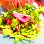 ノーザンテラスダイナー - たっぷりのフィリングサンドウィッチプレートディナー　１８００円（税込）のサラダのアップ【２０２１年３月】