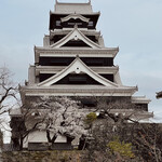 洋食の店 橋本 - 熊本城の天守閣は4月26日から入場再開　桜も咲いて美しい城が蘇りつつあります