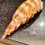 鮨 心白 - 車海老は天草産　やはり西の車海老は甘味が強いですね