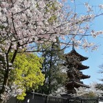 Seisei Hanten - 上野東照宮の五重塔