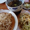 Shirakawa Soba Kakurean - 