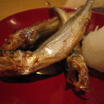 ぬる燗佐藤 - 本乾ししゃも
      
      
      