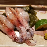 寿司 はせ川 心斎橋本店 - 生の蛍烏賊