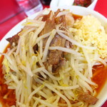 ラーメン二郎 - ラーメン小＋ニンニク多め＋青ネギ＋ＳＫ