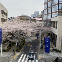 フレンチ キッチン - 