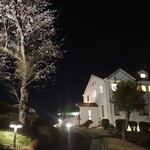 和食処　田舎家 - 夜桜②