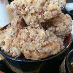 Karaage Hitosuji - 