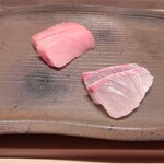 Sushi Kuma - 