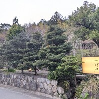 洋食 つばき - 