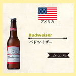 Budweiser (百威) 355毫升