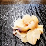 サケバー アクタ - 