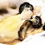 サケバー アクタ - 