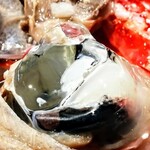 サケバー アクタ - 