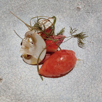 アコルドゥ - 生きるものと春