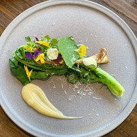 アコルドゥ - 冬を越えた真菜 ハーブと花