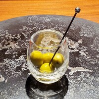 TACUBO - オリーブ