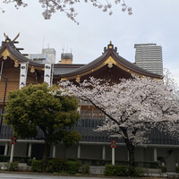 日本橋蛎殻町 すぎた - 桜の綺麗な水天宮