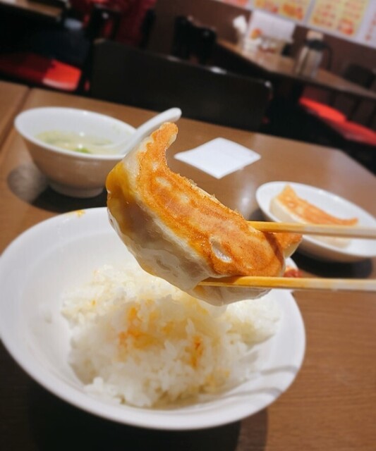 天鴻餃子房 本郷店 本郷三丁目 餃子 食べログ 天鴻餃子房 本郷店 本郷三丁目 餃子 食べログ