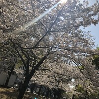 桜木町de焼肉DOURAKU - 