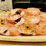 日本橋 蕎ノ字 - ◎ ユメカサゴは駿河湾の深海部に生息している。希少性が高い高級魚。色がとても美しい魚である。