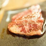 大衆炭火焼肉ジンギスカン ホルモン酒場 風土. - 