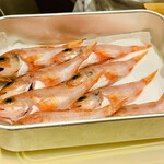 日本橋 蕎ノ字 - ◎ 「ユメカサゴ」を、TV番組の『日経スペシャルガイヤの夜明け』が取材に来ていた。