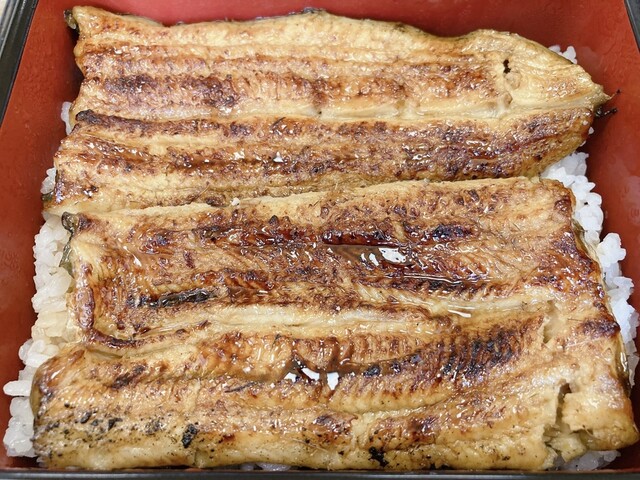 宮川 目黒店 不動前 うなぎ 食べログ 宮川 目黒店 不動前 うなぎ 食べログ