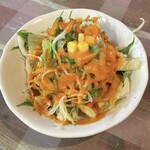 レスンガ - サラダ