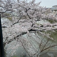 鮨 こだん - 薄曇り
