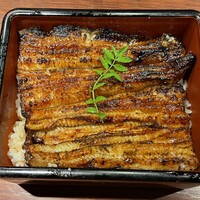 新宿うな鐵 はなれ - うな重特上