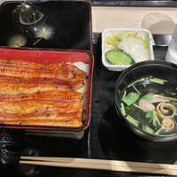 うなぎ 目白ぞろ芽 - 