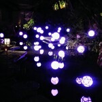 星のや 京都 ダイニング - 